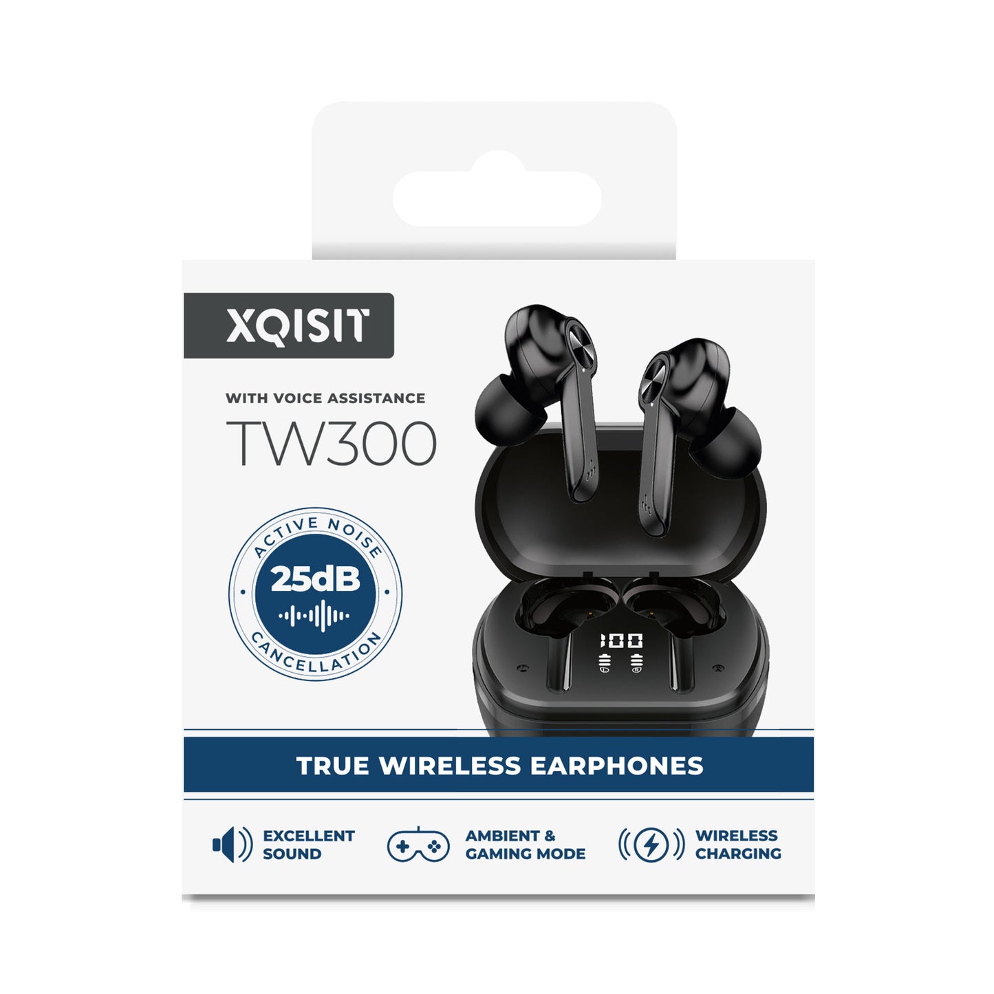 NP In ear ANC TWS (TW300)